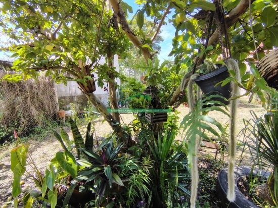 sitio-venda-rio-manso-mg-1023060