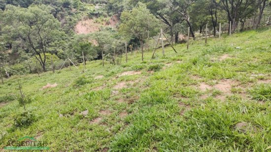 lote-venda-nazare-ii-sessao-sao-joaquim-de-bicas-mg-629532