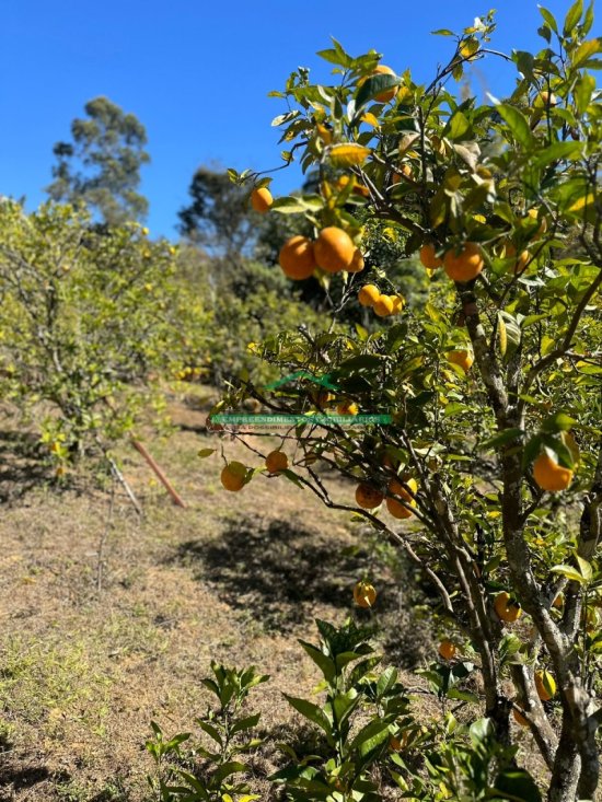 sitio-venda-pedras-itatiaiucu-mg-747857