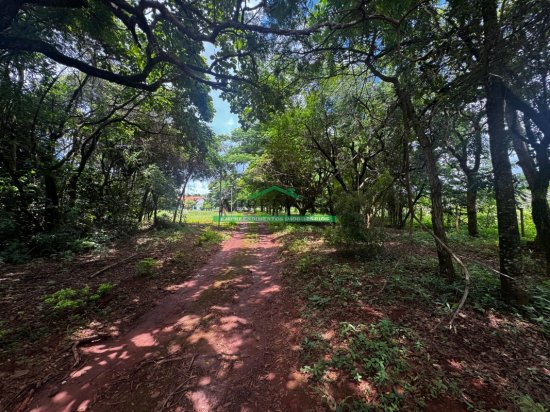 sitio-venda-sao-joaquim-de-bicas-969281