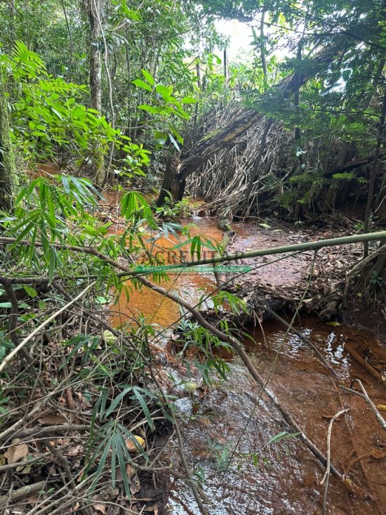 chacara-venda-alto-boa-vista-mateus-leme-mg-837774