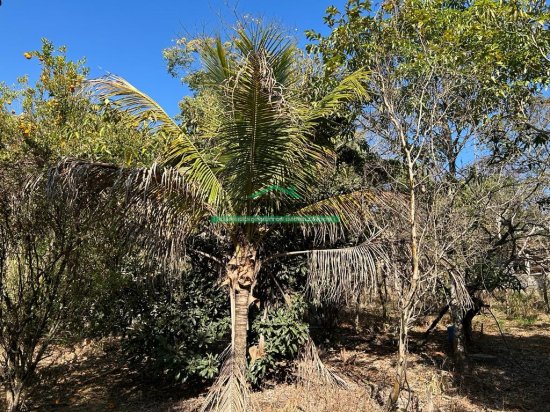 terreno-venda-solar-do-madeira-contagem-mg-733657