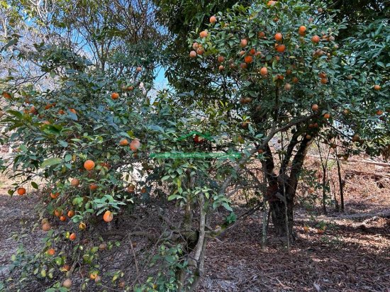 terreno-venda-solar-do-madeira-contagem-mg-733658