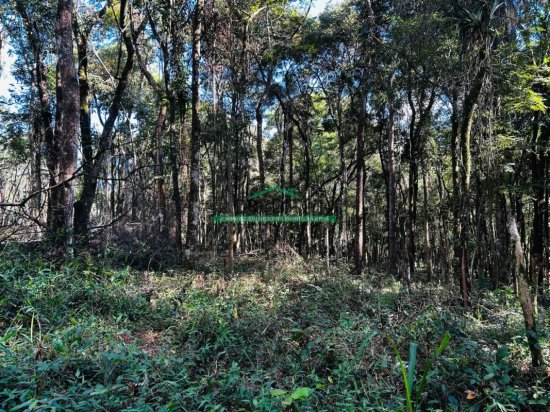 chacara-venda-juatuba-mg-1047080