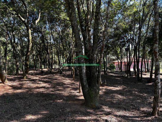 chacara-venda-itaguara-mg-1047115