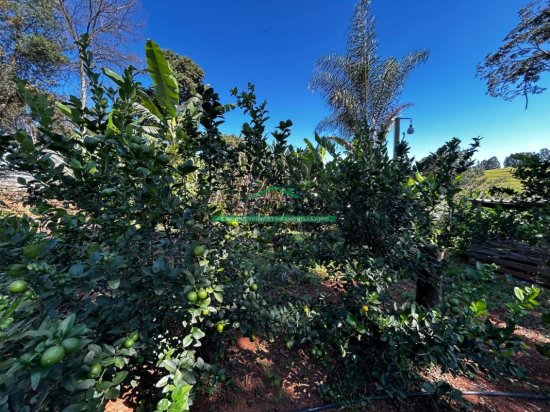 terreno-venda-terreno-em-itaguara-mg-1047142