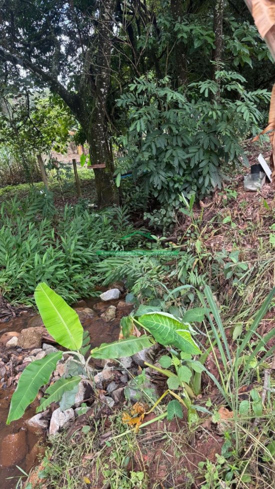 sitio-venda-sao-joaquim-de-bicas-1018048