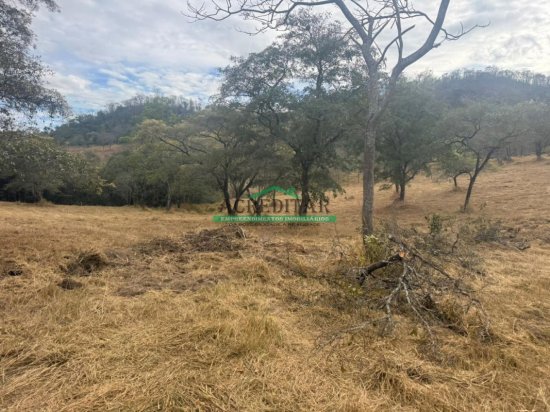sitio-venda-fazendinha-em-florestal-mg-1038986