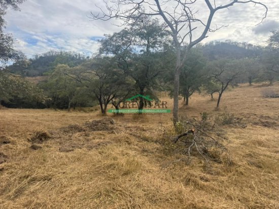 sitio-venda-fazendinha-em-florestal-mg-1038987