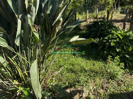 sitio-venda-fazendinha-em-florestal-mg-1038973