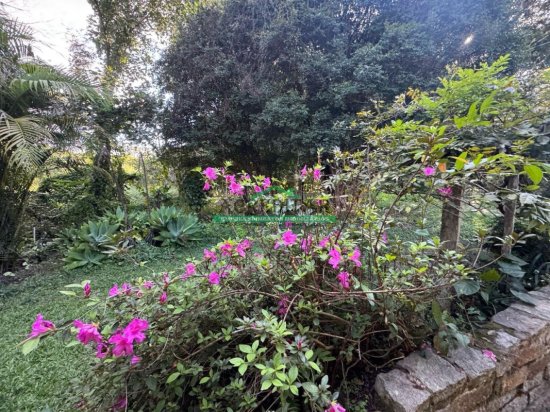 sitio-venda-fazendinha-em-florestal-mg-1038977