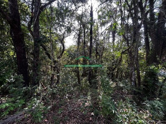 chacara-venda-itatiaiucu-mg-1039128